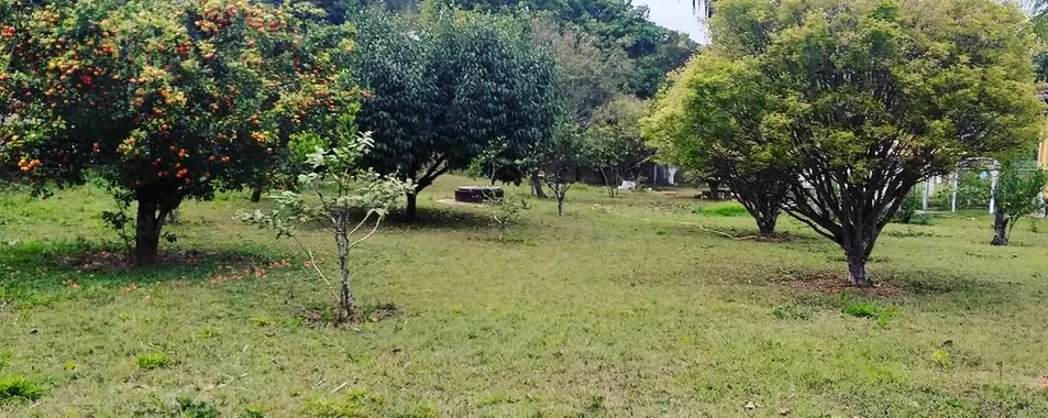 Gramado com árvores frutíferas na área externa da estrutura
