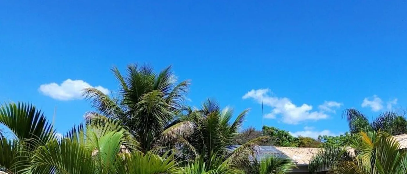 Palmeiras e céu aberto sobre a área de piscina da estrutura de tratamento